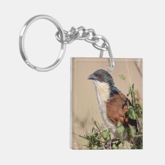 Burchell's Coucal Schlüsselanhänger (Vorderseite links)