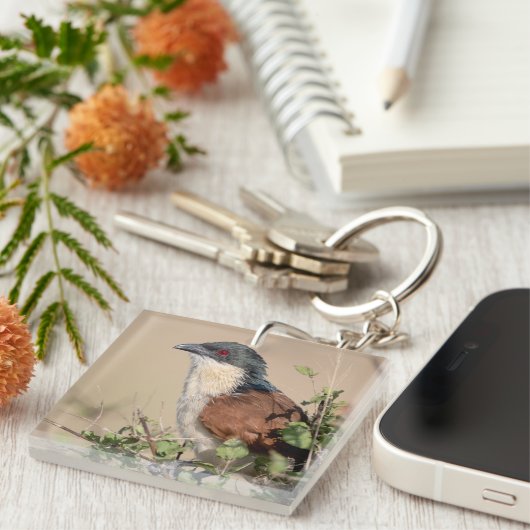 Burchell's Coucal Schlüsselanhänger (Vorderseite rechts)