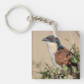 Burchell's Coucal Schlüsselanhänger (Vorderseite)