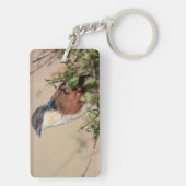 Burchell's Coucal Schlüsselanhänger (Rückseite)