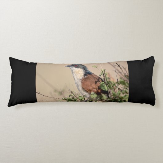 Burchell's Coucal Seitenschläferkissen (Vorderseite)