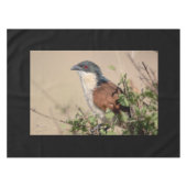 Burchell's Coucal Tischdecke (Vorderseite (Horizontal))