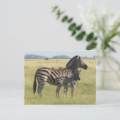 Burchells Postkarte, Mutter mit Foal Postkarte (Stehend Vorderseite)
