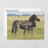 Burchells Postkarte, Mutter mit Foal Postkarte (Vorne/Hinten)