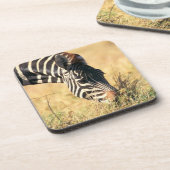 Burchells Zebra 2 Getränkeuntersetzer (Linke Seite)