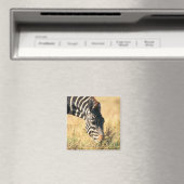 Burchells Zebra 2 Magnet (In Situ (Geschirrspüler))