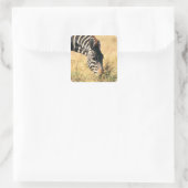 Burchells Zebra 2 Quadratischer Aufkleber (Tasche)