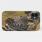 Burchell's Zebra im hohen Sommergras, Masai Case-Mate iPhone Hülle (Rückseite (Horizontal))
