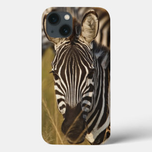 Burchells Zebra im hohen Sommergras, Masai Case-Mate iPhone Hülle