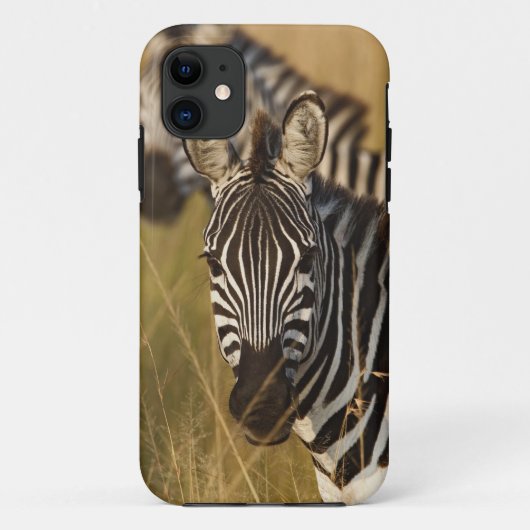 Burchell's Zebra im hohen Sommergras, Masai Case-Mate iPhone Hülle (Rückseite)