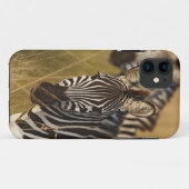 Burchell's Zebra im hohen Sommergras, Masai Case-Mate iPhone Hülle (Rückseite (Horizontal))