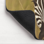 Burchell's Zebra im hohen Sommergras, Masai Mousepad (Ecke)