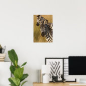 Burchell's Zebra im hohen Sommergras, Masai Poster (Heimbüro)