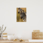 Burchell's Zebra im hohen Sommergras, Masai Poster (Küche)