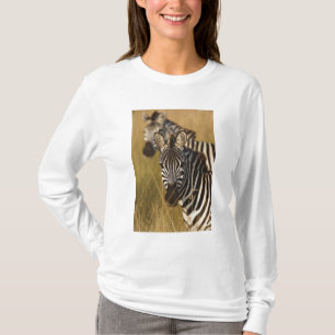 Burchells Zebra im hohen Sommergras, Masai T-Shirt