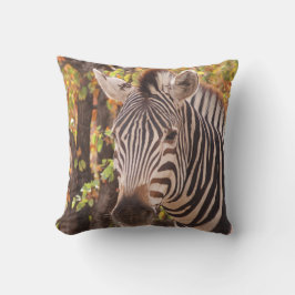 Burchell's Zebra mit sich verändernden Jahreszeite Kissen