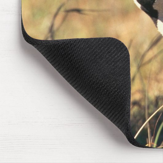 Burchells Zebra Mousepad (Ecke)