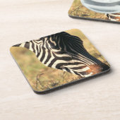 Burchells Zebra Untersetzer (Linke Seite)