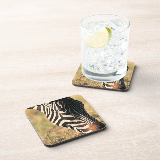 Burchells Zebra Untersetzer (Rechte Seite)