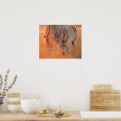 Burchell's Zebras, Equus burchelli weiden bei Poster (Küche)