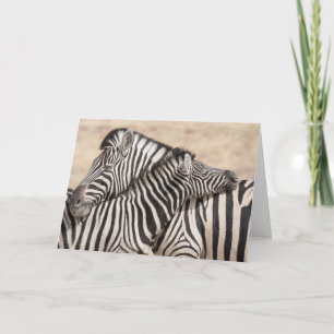 Burchell's Zebras-Hacking Karte