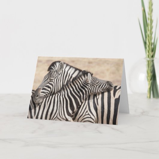 Burchell's Zebras-Hacking Karte (Vorderseite)