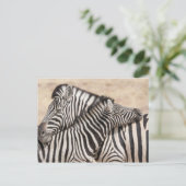 Burchell's Zebras Nick Postkarte (Stehend Vorderseite)