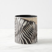 Burchell's Zebras Nick Tasse (Zentrum)