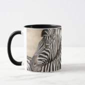 Burchell's Zebras Nick Tasse (Links)