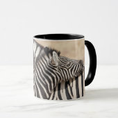 Burchell's Zebras Nick Tasse (VorderseiteRechts)