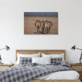Burchell's Zebras Walking Leinwanddruck (Insitu (Schlafzimmer))