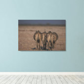 Burchell's Zebras Walking Leinwanddruck (Insitu (Holzboden))