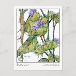 Burdock Materia Medica Study Card Pflanze Postkarte