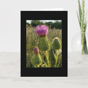 Burdock Thistle card Karte