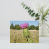 Burdock Thistle Postkarte (Stehend Vorderseite)