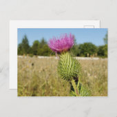 Burdock Thistle Postkarte (Vorne/Hinten)