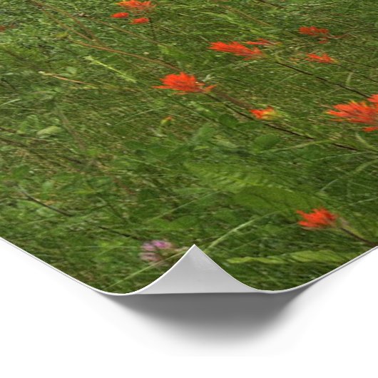 Burg Banff Poster (Ecke)