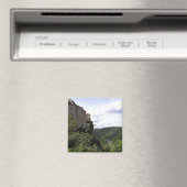 Burg Bruniquel, Magnet (In Situ (Geschirrspüler))