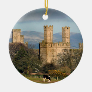 Burg Caernarfon Wales. Keramikornament