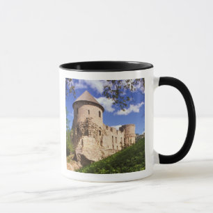 Burg Cēsis in Lettland. Tasse