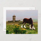 Burg Clydesdale Postkarte (Vorne/Hinten)