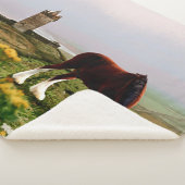 Burg Clydesdale Sherpadecke (3/4)