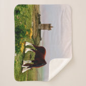 Burg Clydesdale Sherpadecke (Vorderseite)