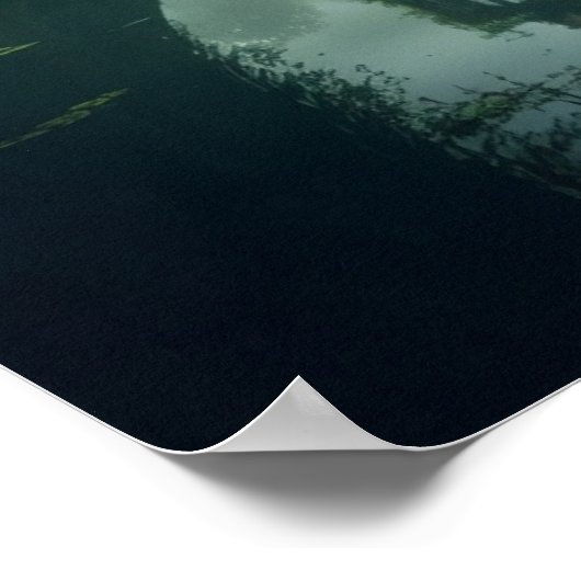 Burg des Verbotenen Sumpfes Poster (Ecke)