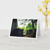 Burg Dolbadarn, Nordwales Karte (Gelbe Blume)