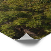 Burg Dracula, die Siebenbürgen kontrolliert Poster (Ecke)