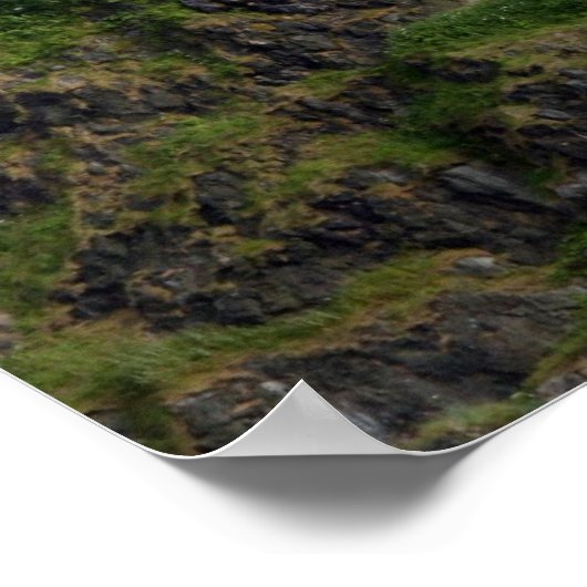 Burg Edinburgh Poster (Ecke)