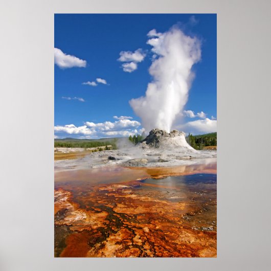 Burg Geyser Eruption Yellowstone Nationalpark. Poster (Vorne)