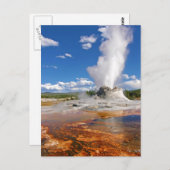 Burg Geyser Eruption Yellowstone Nationalpark. Postkarte (Vorne/Hinten)