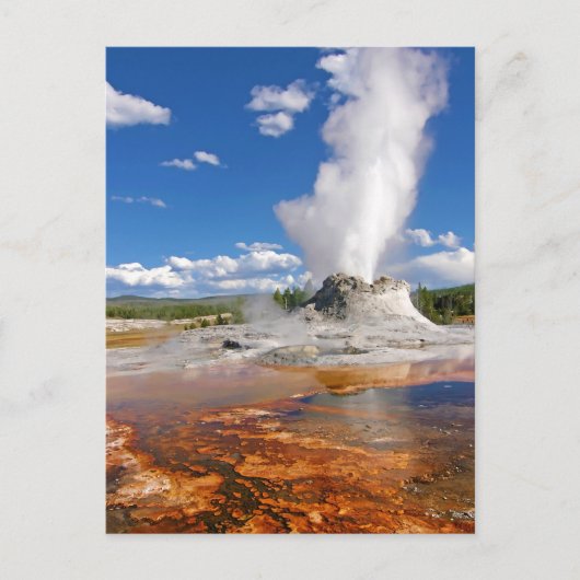Burg Geyser Eruption Yellowstone Nationalpark. Postkarte (Vorderseite)